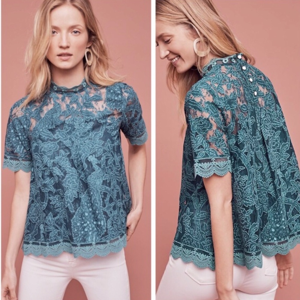 Anthropologie HD in Paris Lace Meadows Blouse
